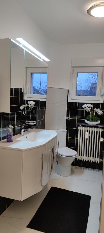 Schoene Und Optimal Gelegene Wohnung Og Weisskirchen Esterno foto
